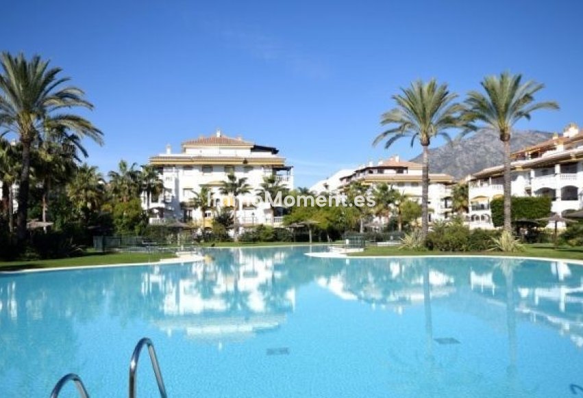 Alquiler a corto plazo - Apartamento - Marbella - Nueva Andalucía