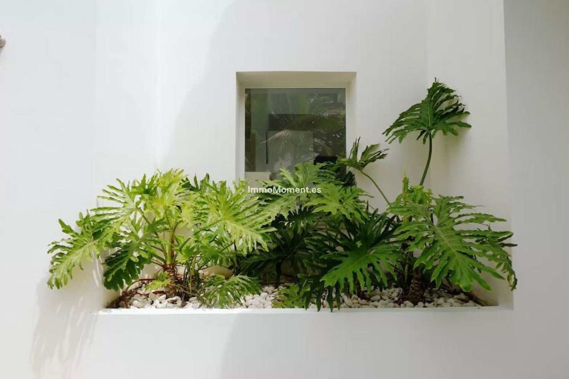 Alquiler a corto plazo - Villa independiente - Marbella - Guadalmina Alta