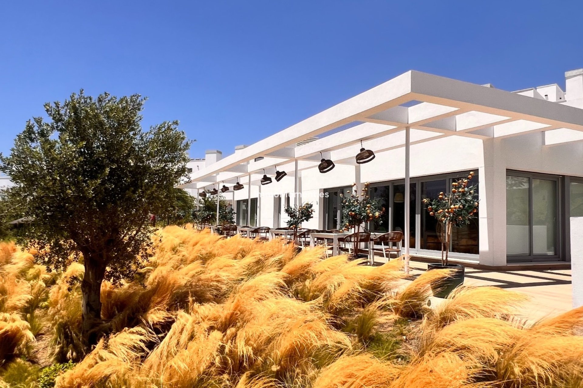 Alquiler a largo plazo - Apartamento - Estepona  - Cancelada