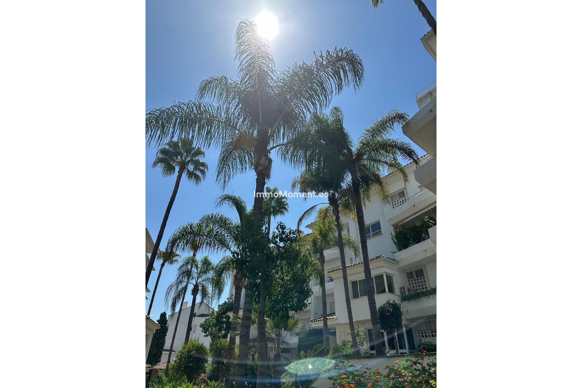 Alquiler a largo plazo - Apartamento - Marbella - Guadalmina Baja