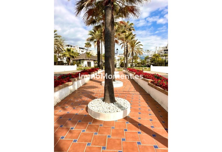 Alquiler a largo plazo - Apartamento - San Pedro de Alcántara