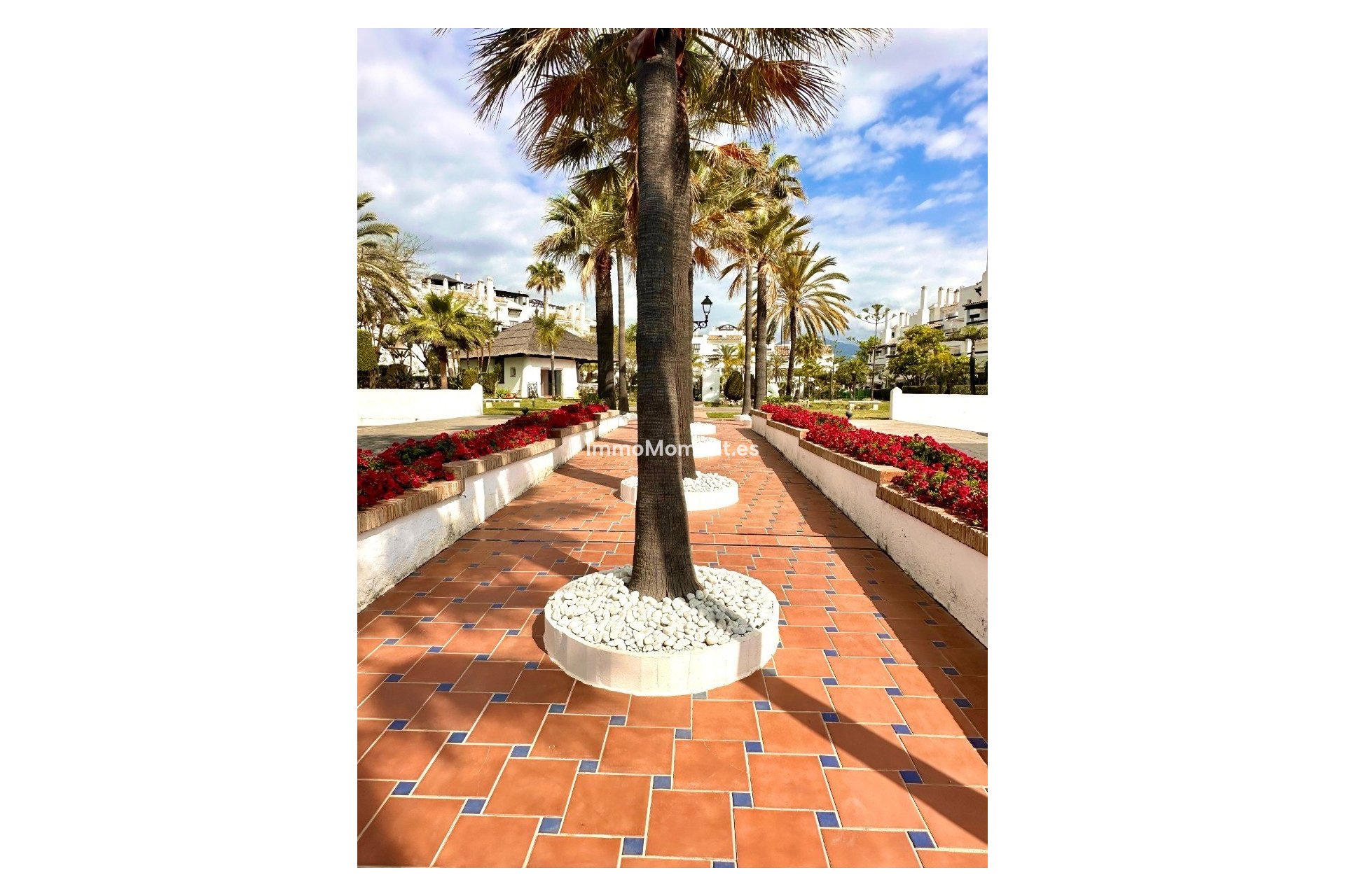 Alquiler a largo plazo - Apartamento - San Pedro de Alcántara