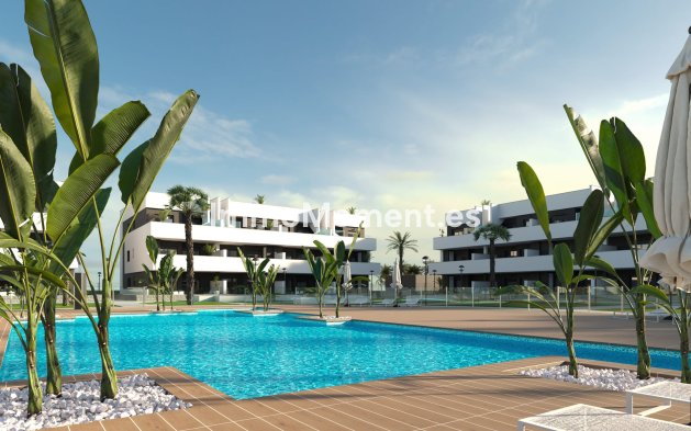 Apartamento - Obra nueva - Guardamar del Segura - Guardamar del Segura