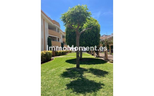 Apartamento - Reventa - Denia - Denia Centro