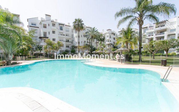Apartamento - Reventa - Estepona  - Costalita