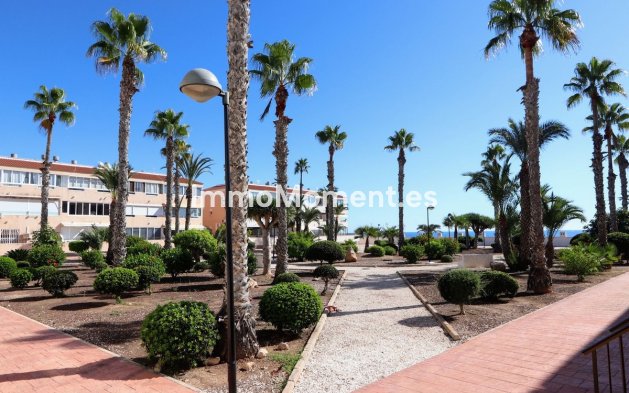 Apartamento - Reventa - Mil Palmeras - Mil Palmeras