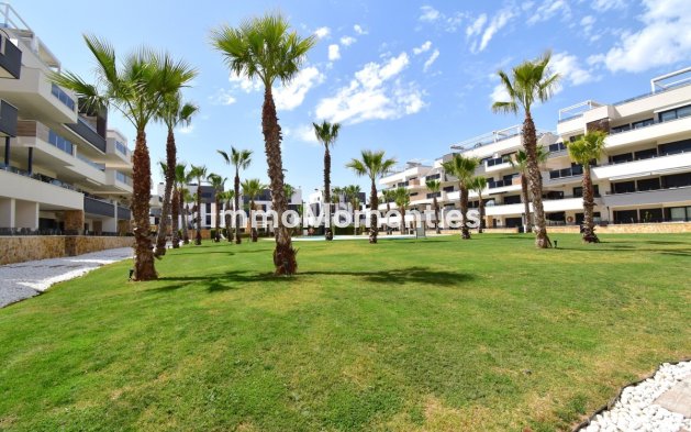 Apartamento - Reventa - Orihuela - Los Altos