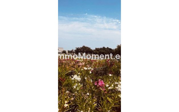 Apartamento - Reventa - Sotogrande - Sotogrande