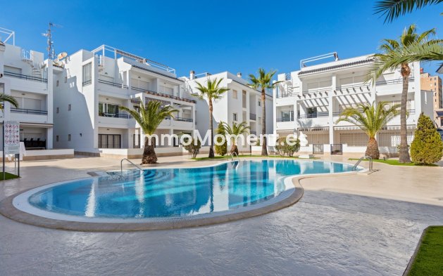 Apartamento - Reventa - Torrevieja - Torrevieja Centro