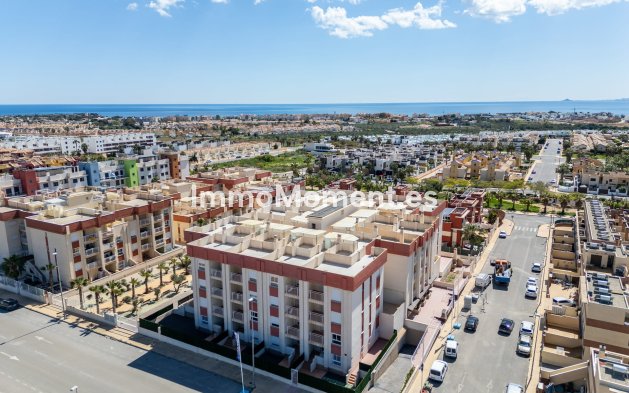 Apartment - Nieuwbouw - Orihuela Costa - Orihuela Costa