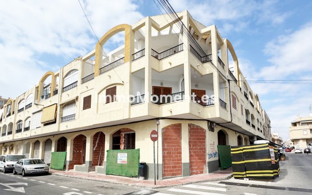Apartment - Nieuwbouw - Torrevieja - Torrevieja