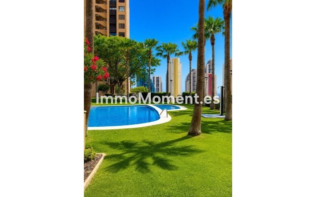 Apartment - Resale - Benidorm - Benidorm Centro