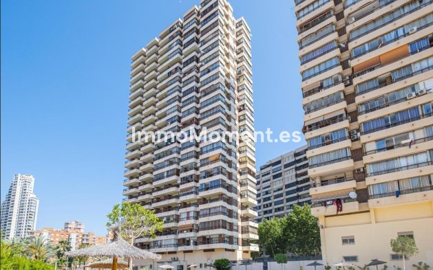 Apartment - Resale - Benidorm - Benidorm Centro
