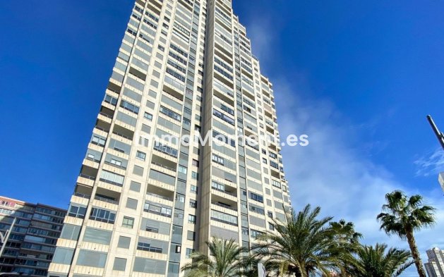 Apartment - Resale - Benidorm - Benidorm Centro