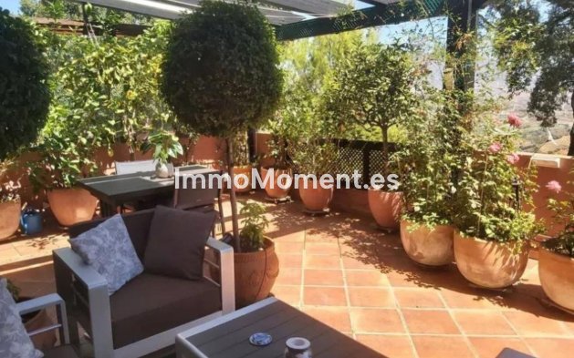 Apartment - Resale - Marbella - Marbella Centro
