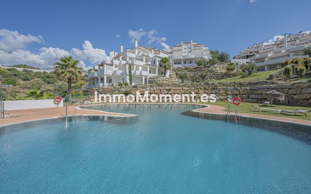 Apartment - Resale - Marbella - Nueva Andalucía