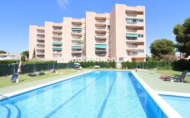 Apartment - Resale - Orihuela - La Zenia