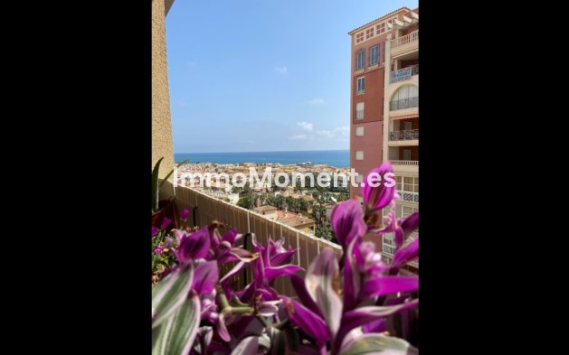 Apartment - Resale - Torrevieja - Torrevieja Centro