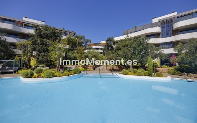 Apartment - Revente - Sotogrande - Sotogrande