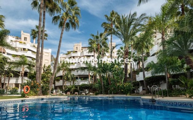 Appartement - Bestaande woning - Marbella - Nueva Andalucía