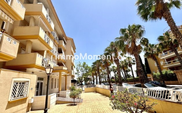 Appartement - Bestaande woning - Orihuela - Cabo roig - La Zenia