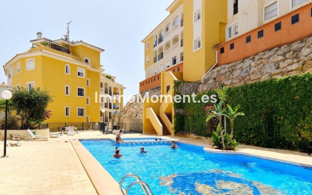 Appartement - Bestaande woning - Orihuela - Campoamor