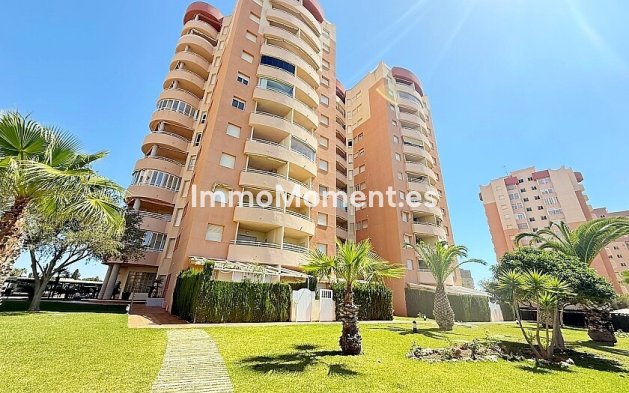 Appartement - Bestaande woning - Orihuela - Dehesa de campoamor