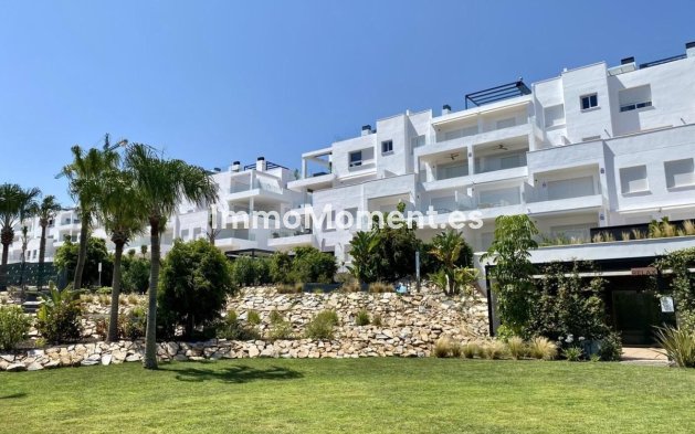 Appartement - Bestaande woning - Orihuela - Los Balcones - Los Altos del Edén
