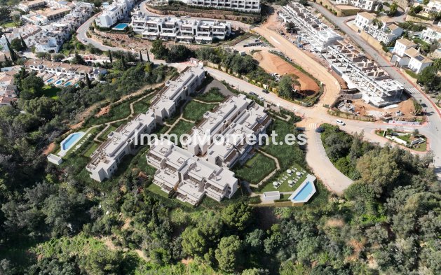 Appartement - Construction neuve - Intérieur                       - Istán