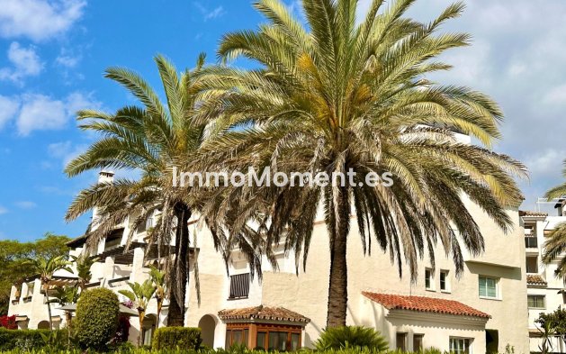 Appartement - Location de longue durée - San Pedro de Alcántara - San Pedro de Alcántara