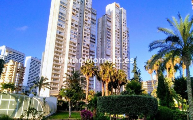 Appartement - Revente - Benidorm - Benidorm Centro