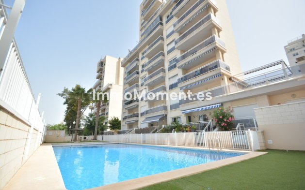 Appartement - Revente - Guardamar del Segura - Guardamar del Segura Centro