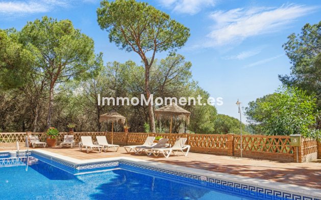 Appartement - Revente - Marbella - Nueva Andalucía