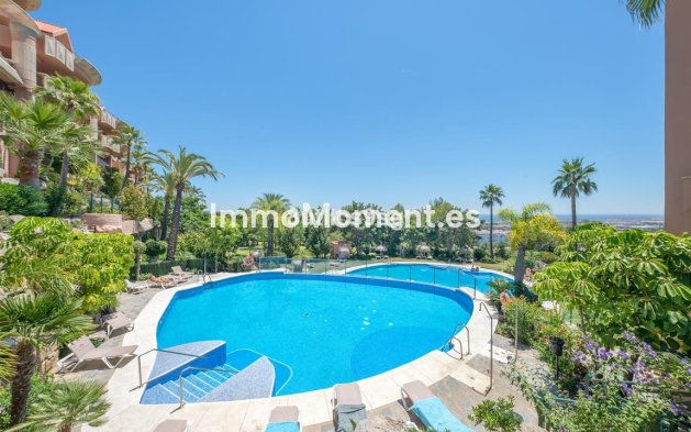 Appartement - Revente - Marbella - Nueva Andalucía