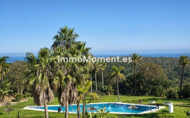 Appartement - Revente - Sotogrande - San Roque