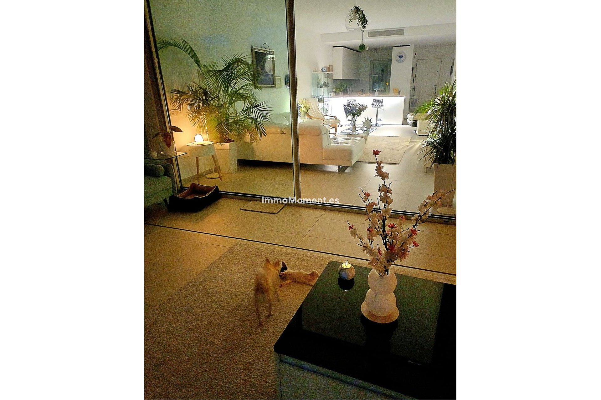 Bestaande woning - Appartement - Benalmadena - Benalmadena Centro