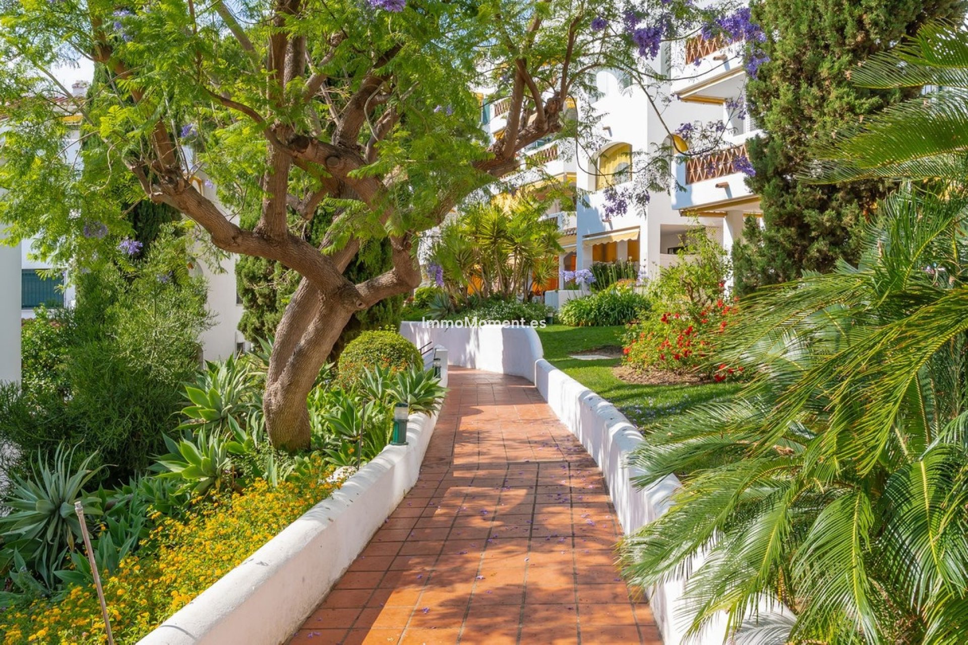 Bestaande woning - Appartement - Benalmadena - Benalmadena Costa