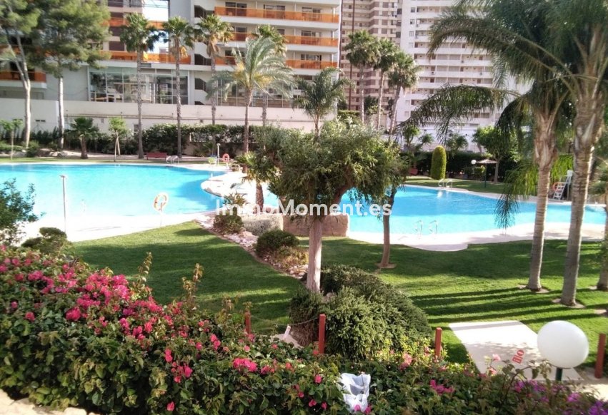 Bestaande woning - Appartement - Benidorm - Benidorm Centro
