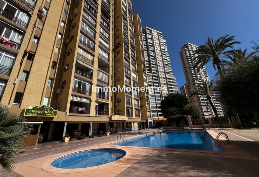 Bestaande woning - Appartement - Benidorm - Benidorm Centro