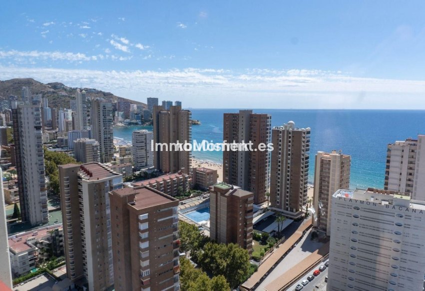 Bestaande woning - Appartement - Benidorm - Benidorm Centro