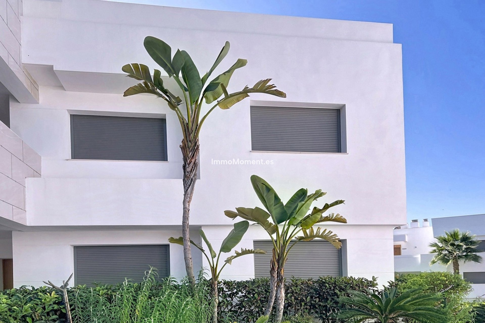 Bestaande woning - Appartement - Casares - Casares Centro