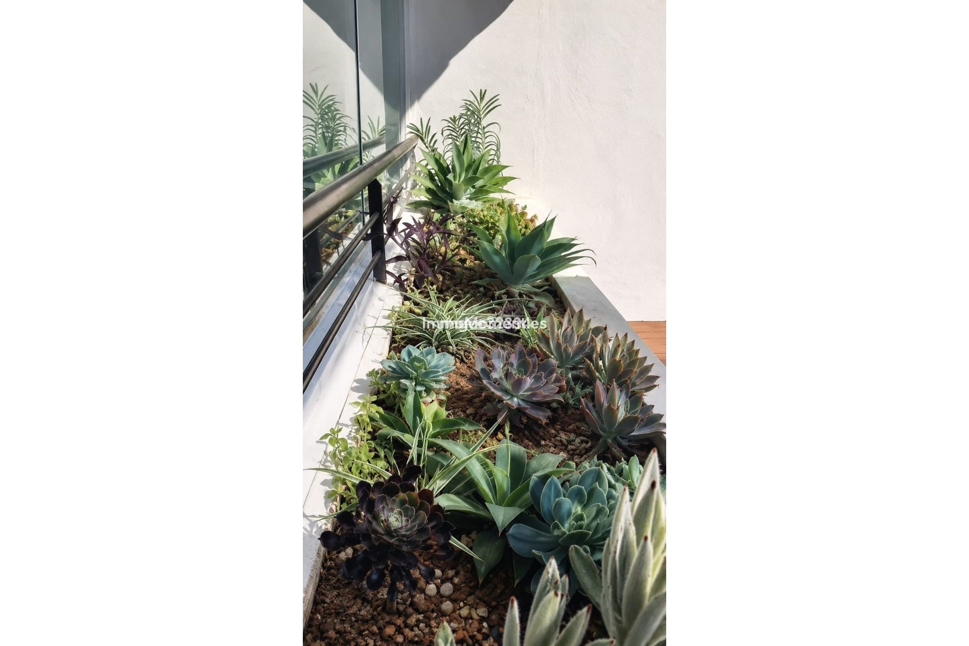 Bestaande woning - Appartement - Casares - Casares Centro