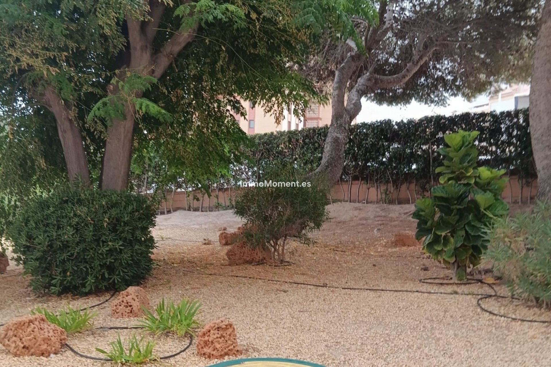 Bestaande woning - Appartement - Elche - Arenales del Sol