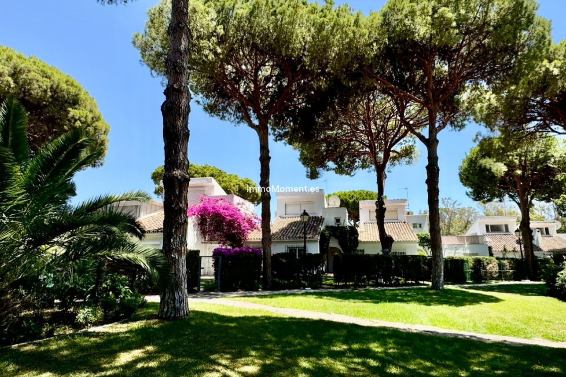 Bestaande woning - Appartement - Estepona  - Benamara