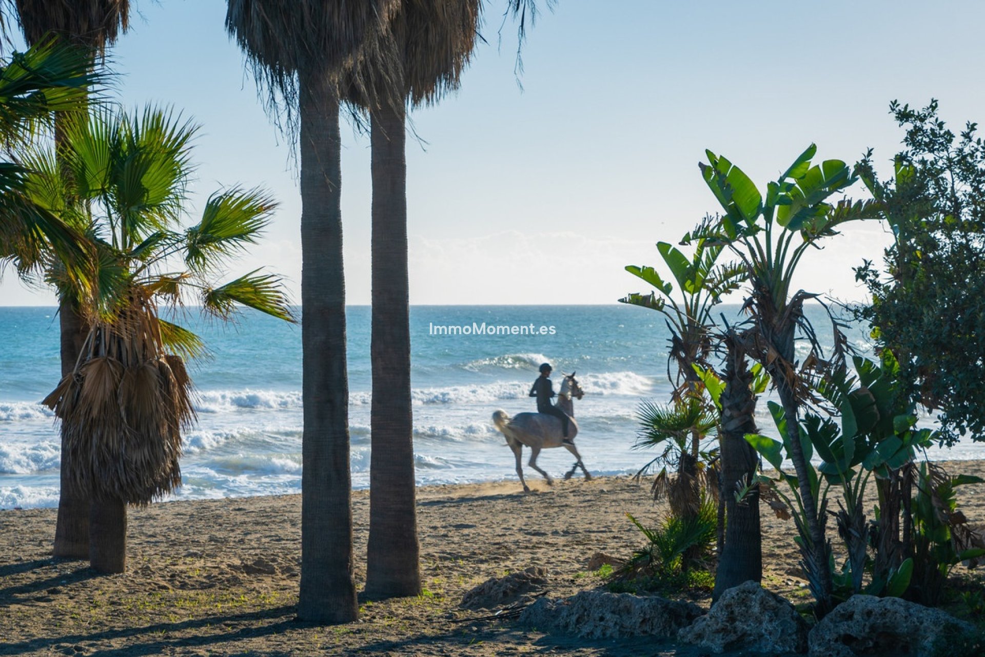 Bestaande woning - Appartement - Estepona  - Estepona Centro