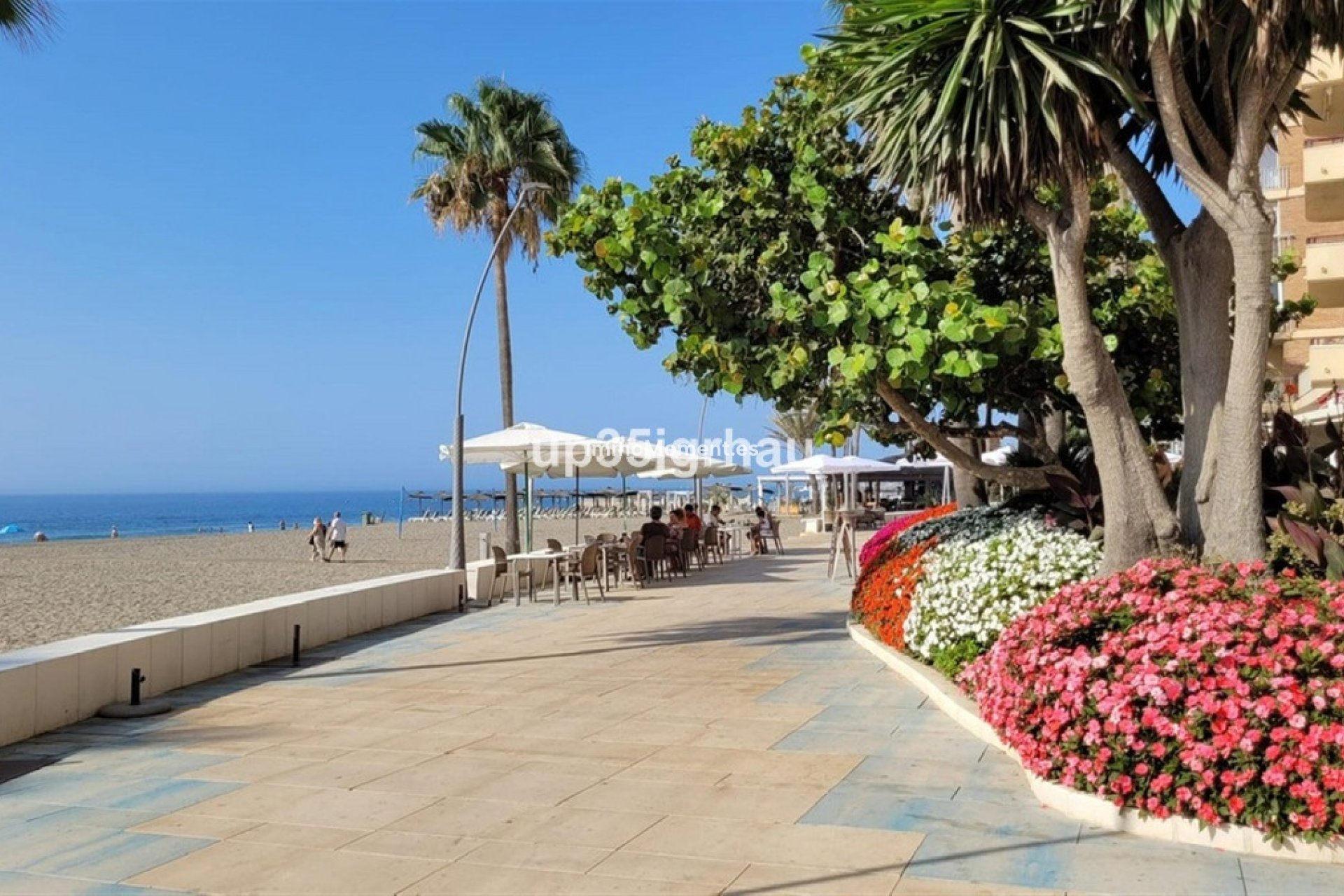 Bestaande woning - Appartement - Estepona  - Estepona Centro