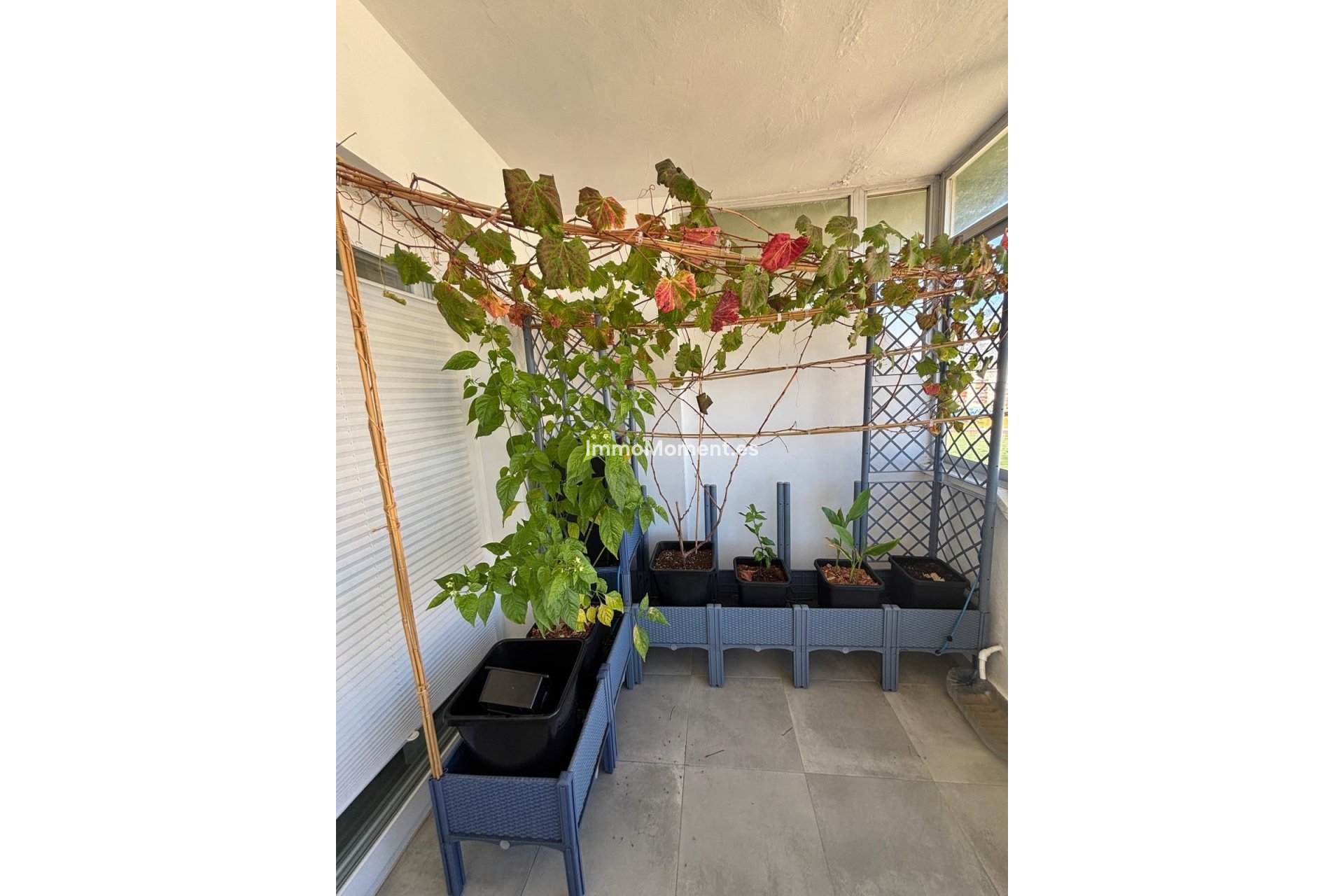 Bestaande woning - Appartement - Fuengirola - Fuengirola Centro
