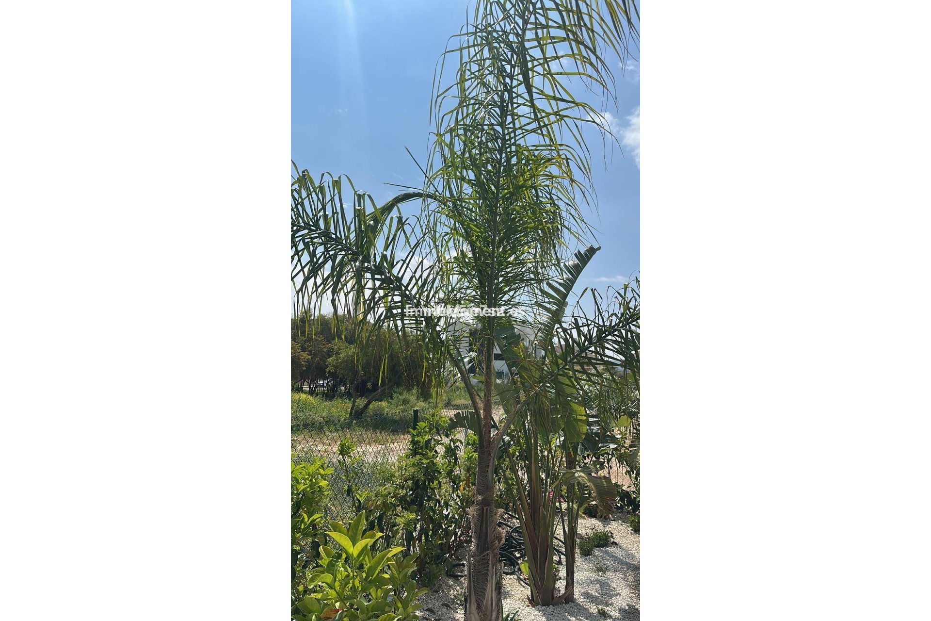 Bestaande woning - Appartement - Jávea - Jávea - Xàbia Centro