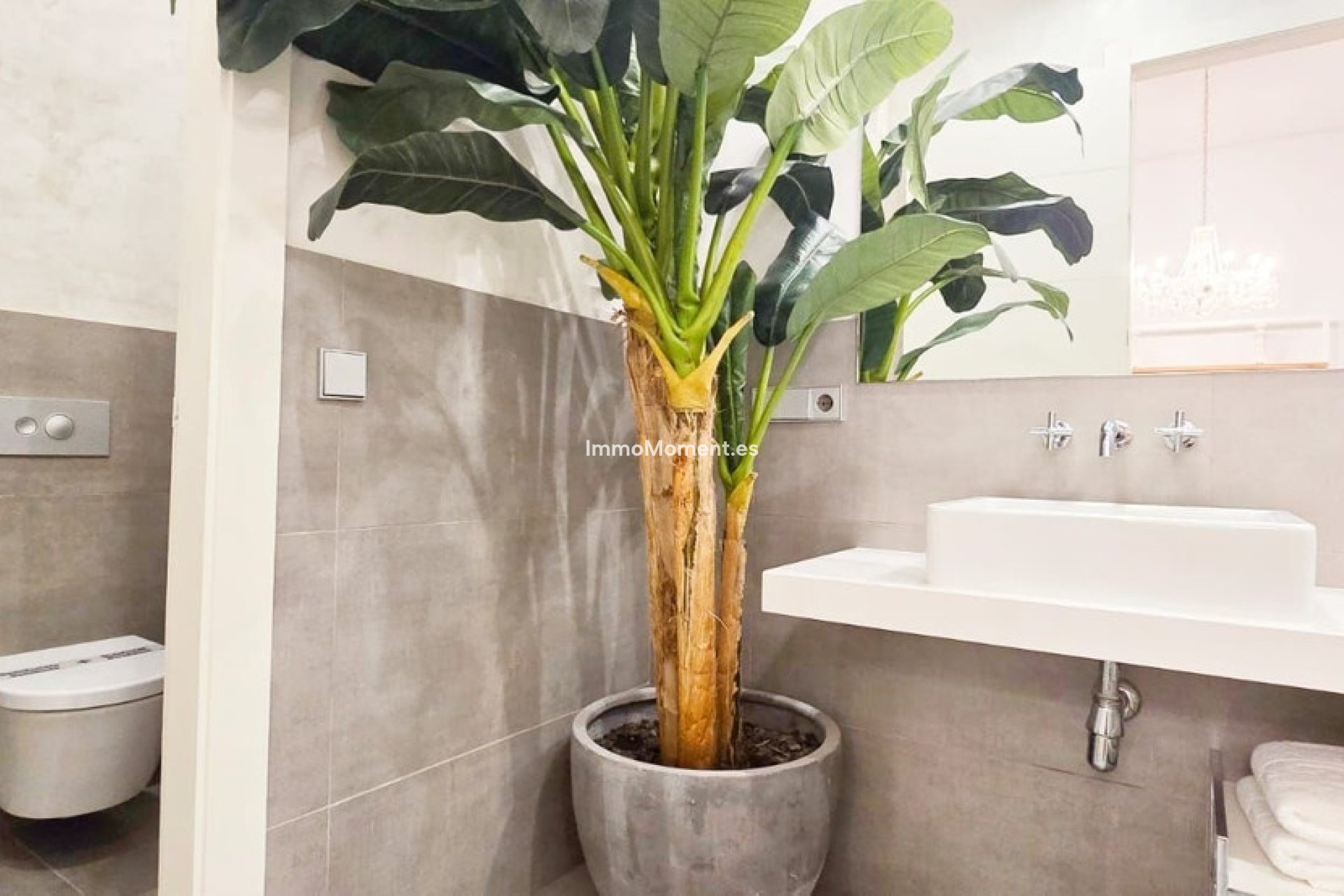 Bestaande woning - Appartement - Málaga - Málaga Centro