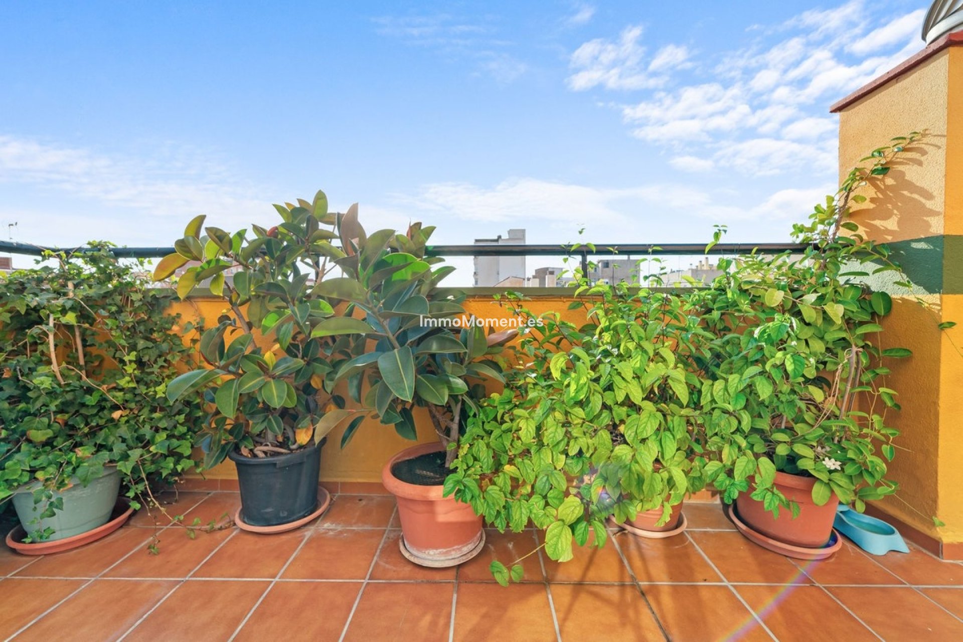 Bestaande woning - Appartement - Málaga
